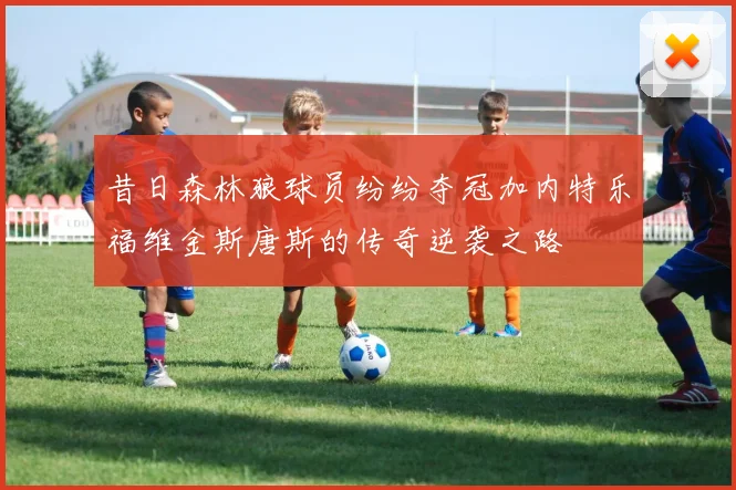 昔日森林狼球员纷纷夺冠加内特乐福维金斯唐斯的传奇逆袭之路